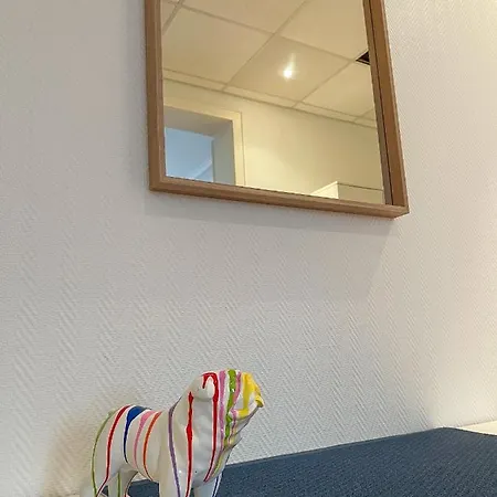 Chambres Privees -Private Room- Dans Un Spacieux Appartement - 100M2 Centre Proche Gare Mulhouse Buitenkant foto