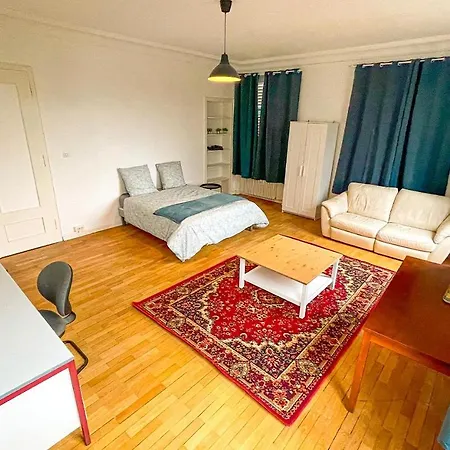 Chambres Privees -Private Room- Dans Un Spacieux Appartement - 100M2 Centre Proche Gare Mulhouse Buitenkant foto