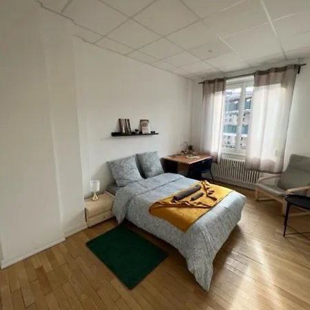 Chambres Privees -Private Room- Dans Un Spacieux Appartement - 100M2 Centre Proche Gare Mulhouse Buitenkant foto