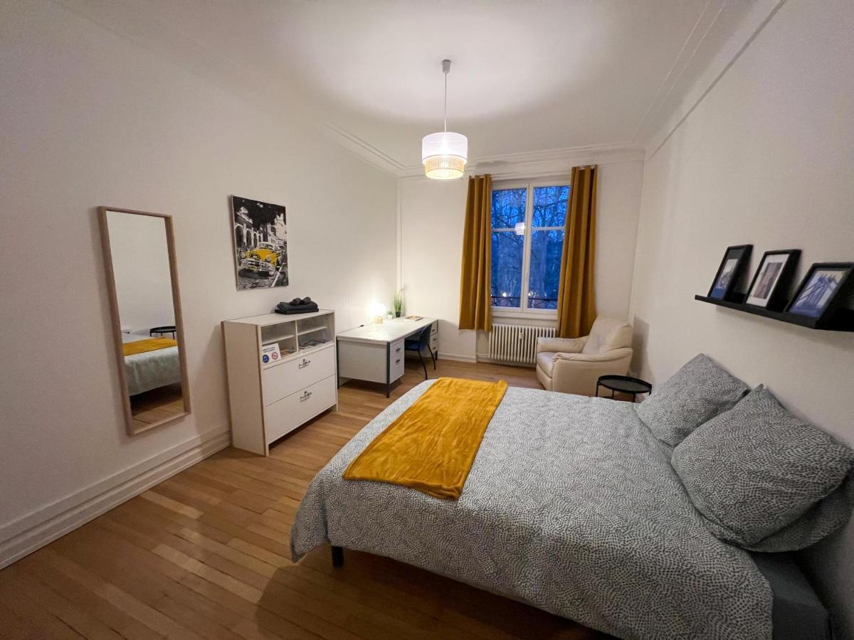 Privees -private Room- Dans Un Spacieux - 100m2 Centre Proche Gare Homestay Mulhouse